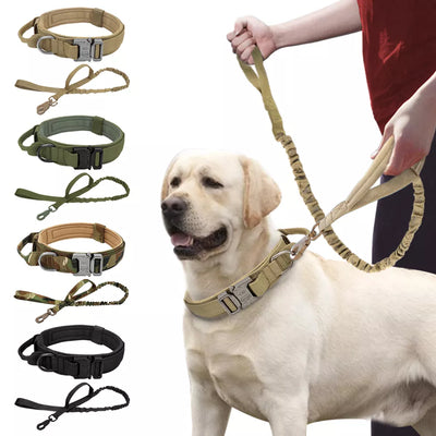 Military Dog Collar | Collar and Leash Set | MilitaryKart