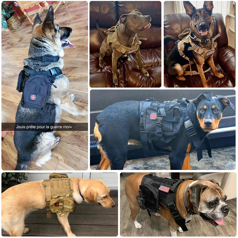 Tactical Dog Harness | Molle Dog Leash | MilitaryKart