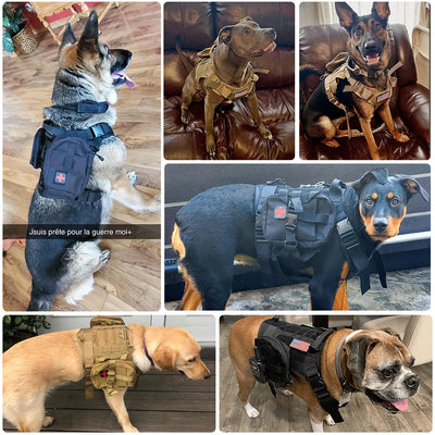 Tactical Dog Harness | Molle Dog Leash | MilitaryKart